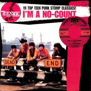 Teenage Shutdown! - I'm a No-count