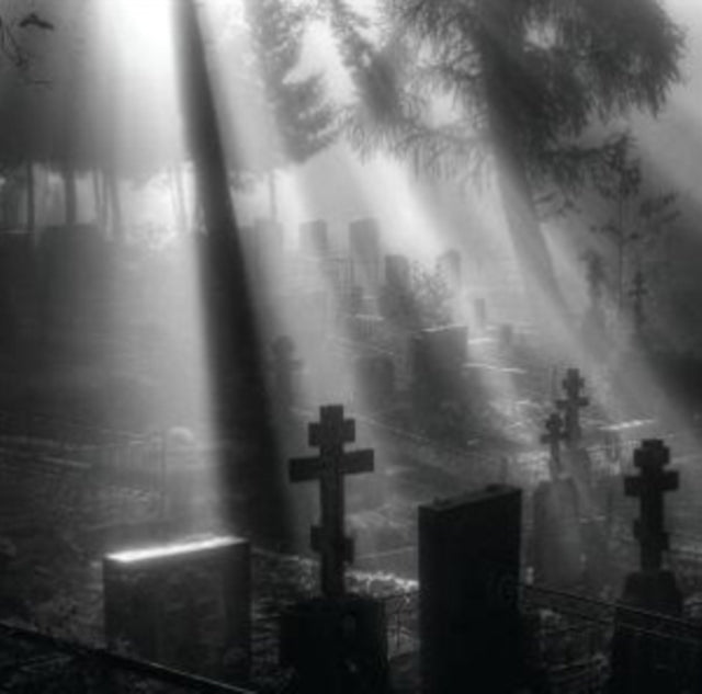 Veni Nox Anima