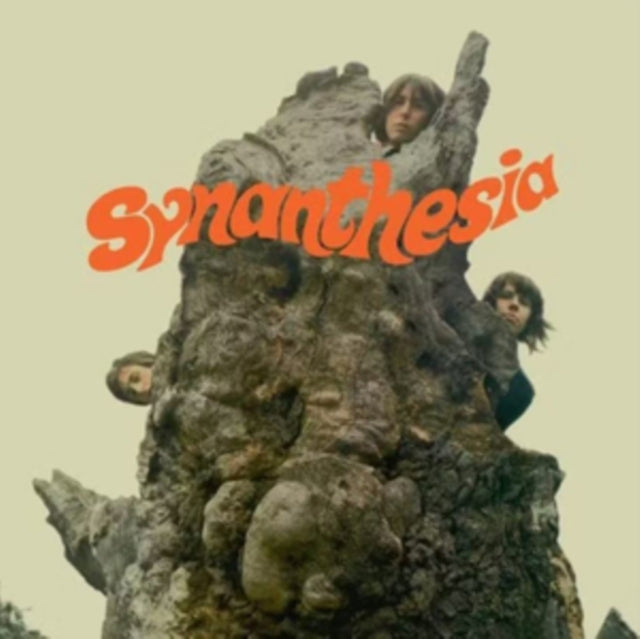 Synesthesia