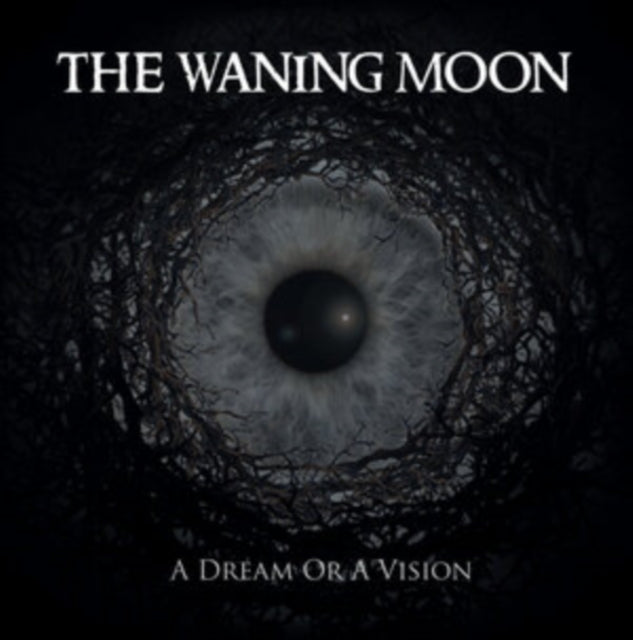 A Dream Or a Vision