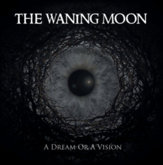 A Dream Or a Vision