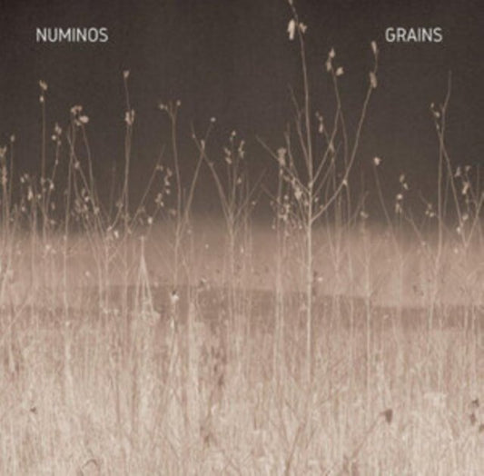 Grains