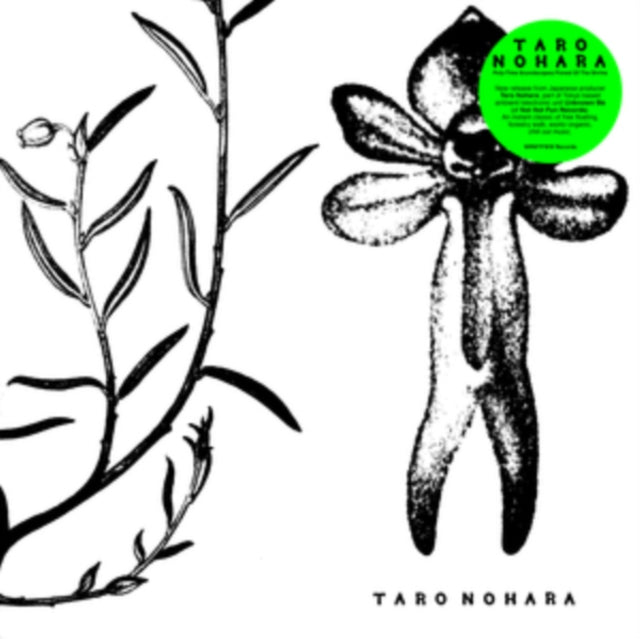 Poly-time Soundscapes/Forest of the Shrine