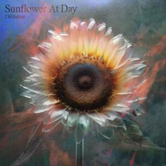 Sunflower at Day