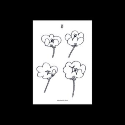 Poppies