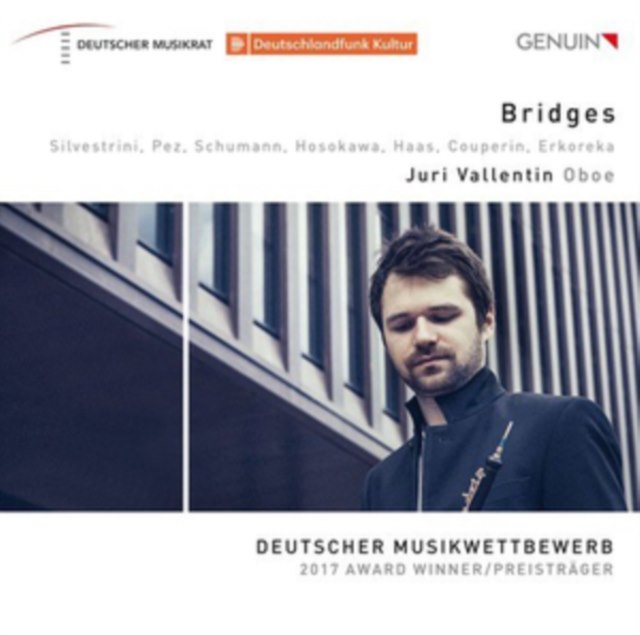 Juri Vallentin: Bridges