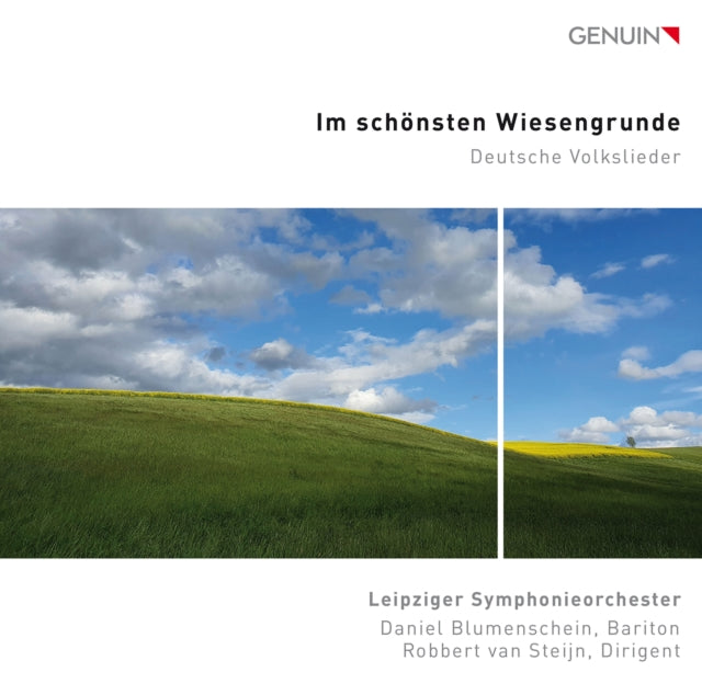 Im Schönsten Wiesengrunde: Deutsche Volkslieder