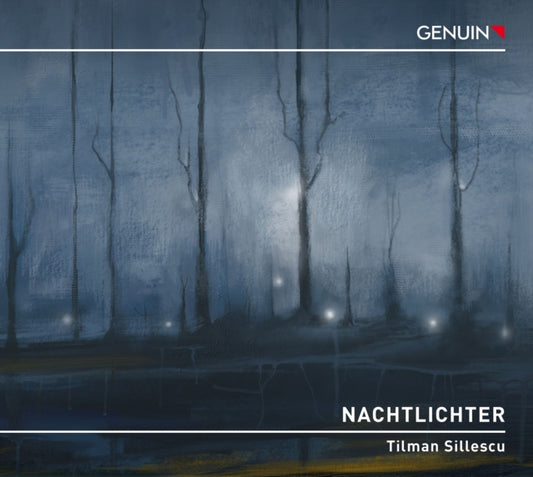 Tilman Sillescu: Nachtlichter