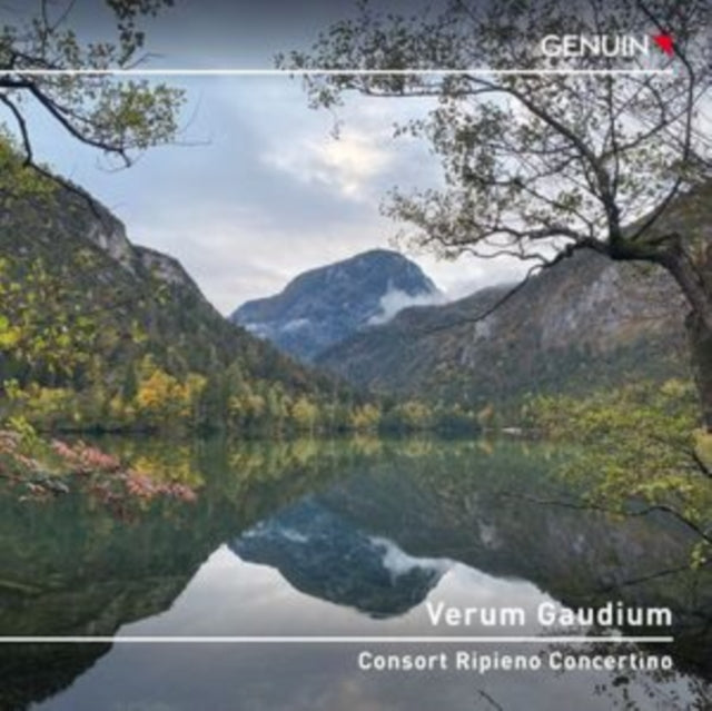 Consort Ripieno Concertino: Verum Gaudium