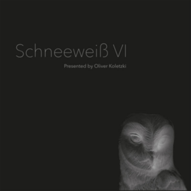 Schneeweiss VI