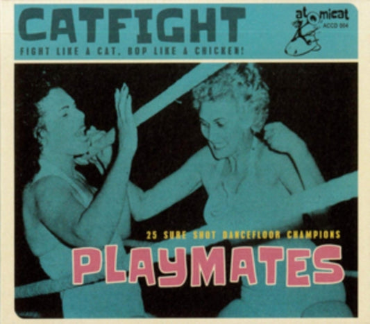 Playmates: 25 Sure Shot Dancefloor Champions