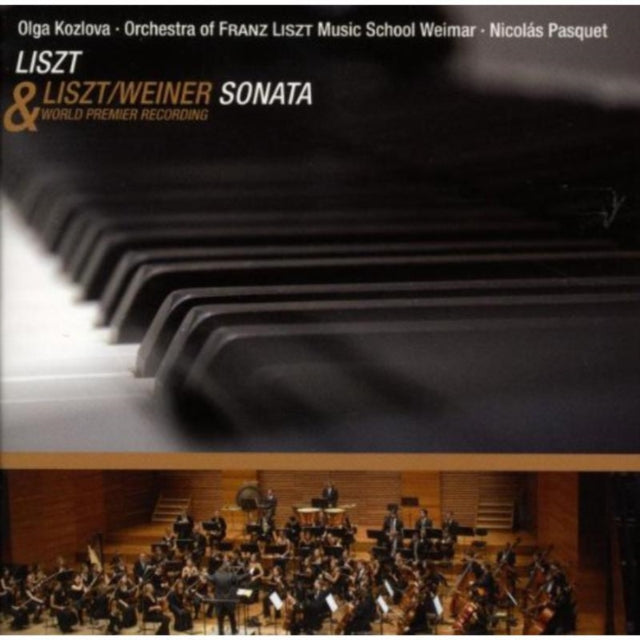 Sonata in B Minor for Piano, Sonata in B Minor (Bernius)