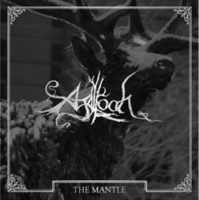 The Mantle