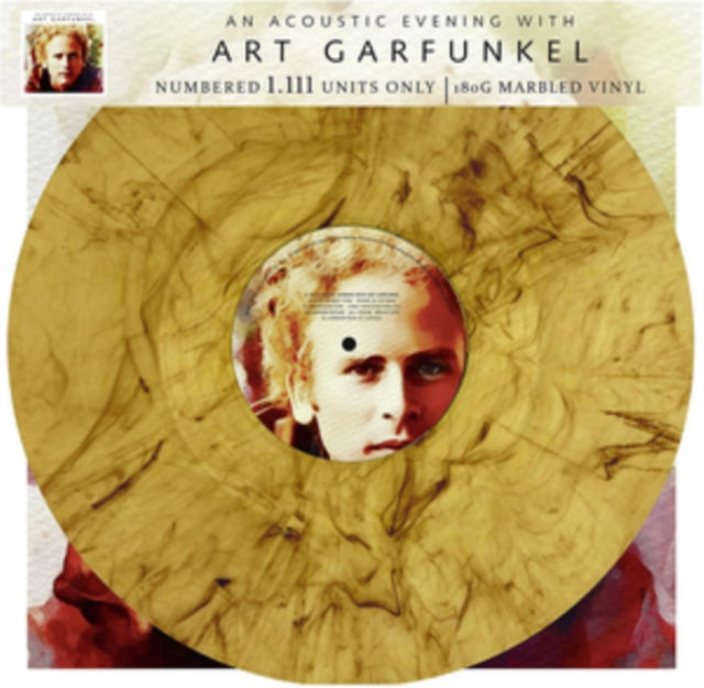 An Acoustic Evening With Art Garfunkel
