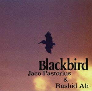 Blackbirds