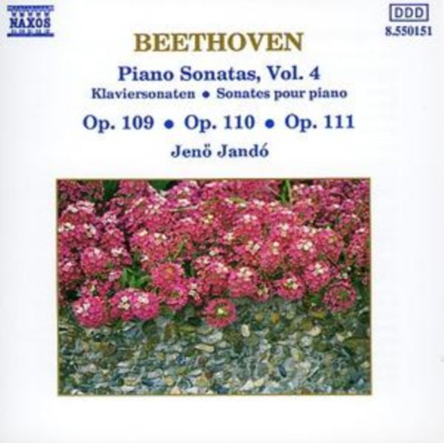 Piano Sonatas, Vol. 4 (Jundo)