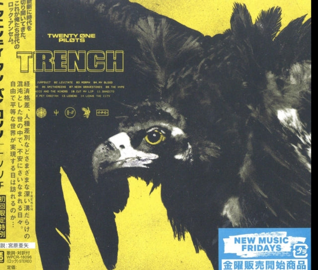 Trench