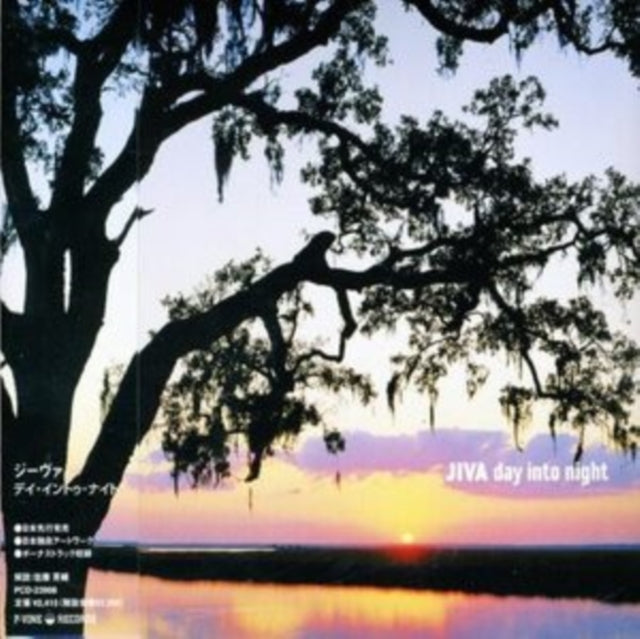 Day into night