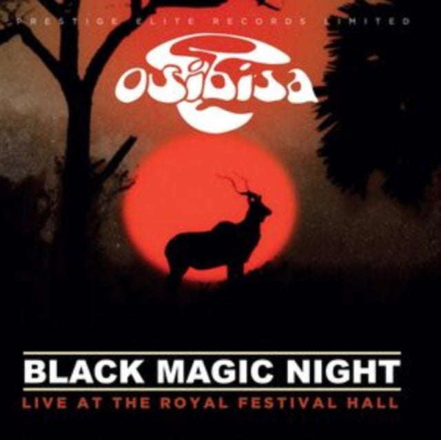 Black Magic Night