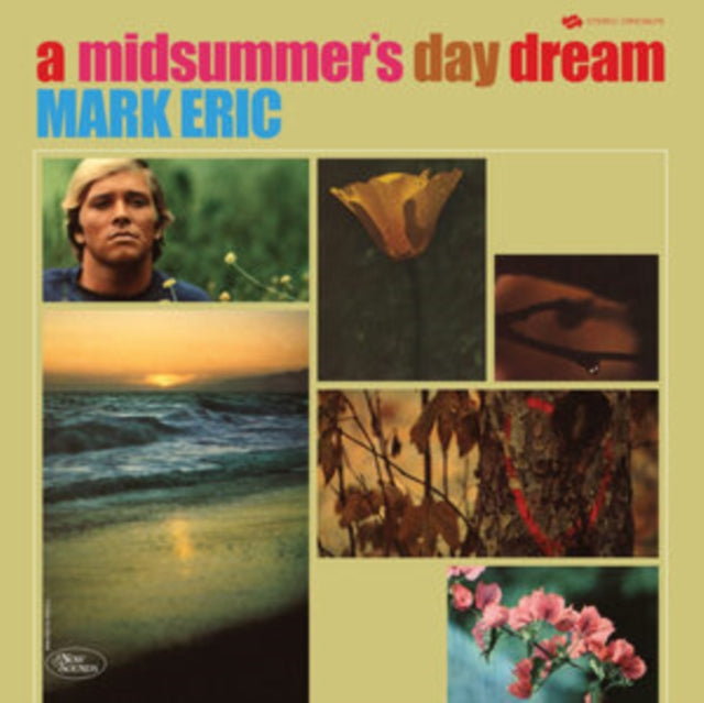 A Midsummer's Day Dream