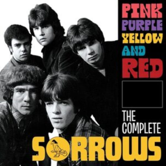 Pink Purple Yellow and Red