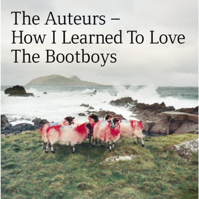 How I Learned to Love the Bootboys
