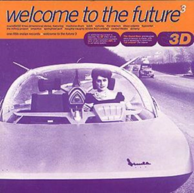 Welcome To The Future 3