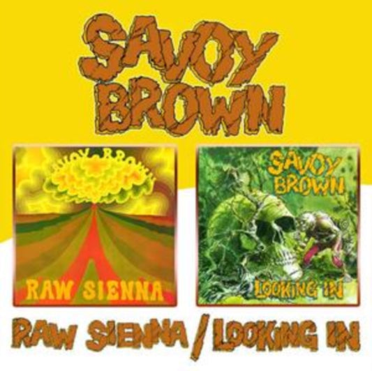 Raw Sienna/Looking In