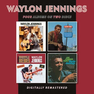 Folk-country/Leavin' Town/Nashville Rebel/Love of the Common...