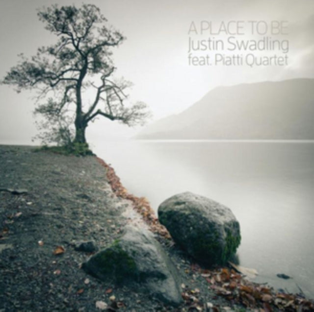 A Place to Be (Feat. Piatti Quartet)