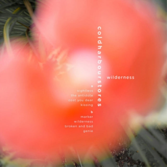 Wilderness