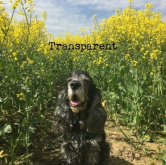 Transparent