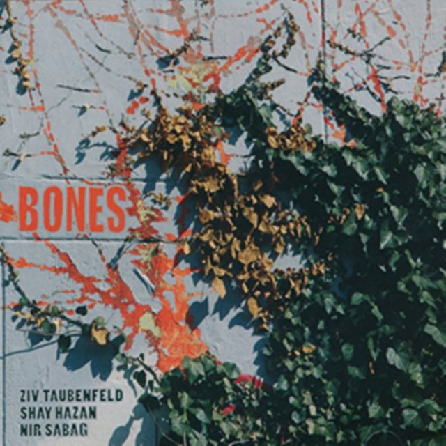Bones