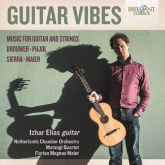 Izhar Elias: Guitar Vibes