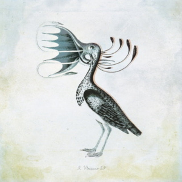 R Vincenzo EP