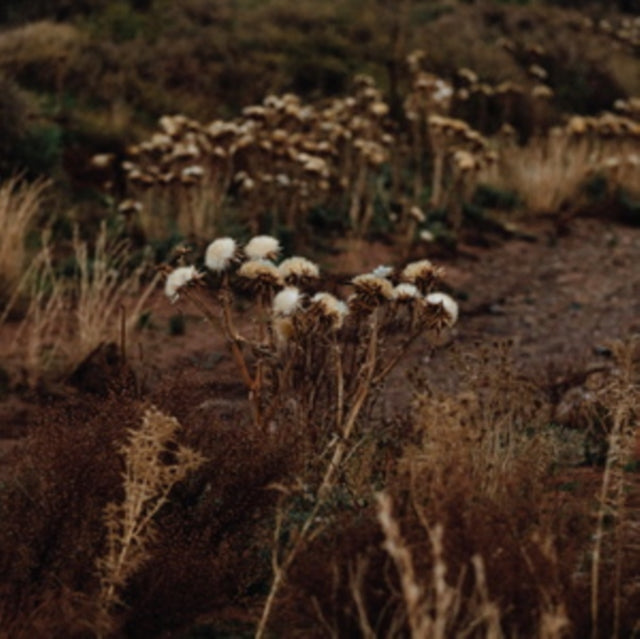 The Fundamental Nature of Being, Part Two