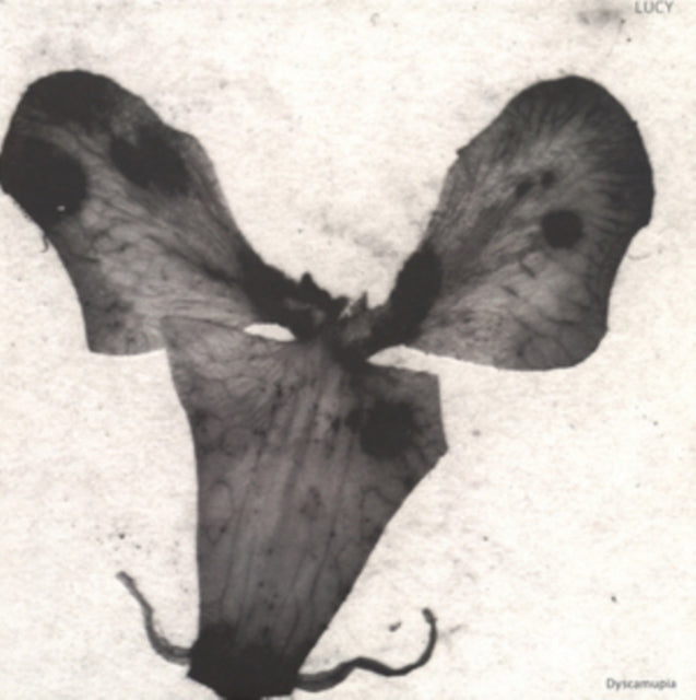 Dyscamupia