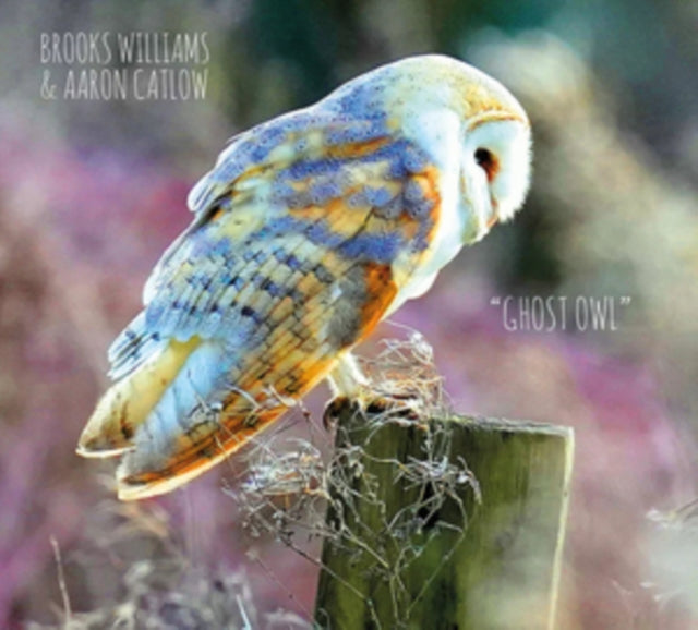 Ghost Owl