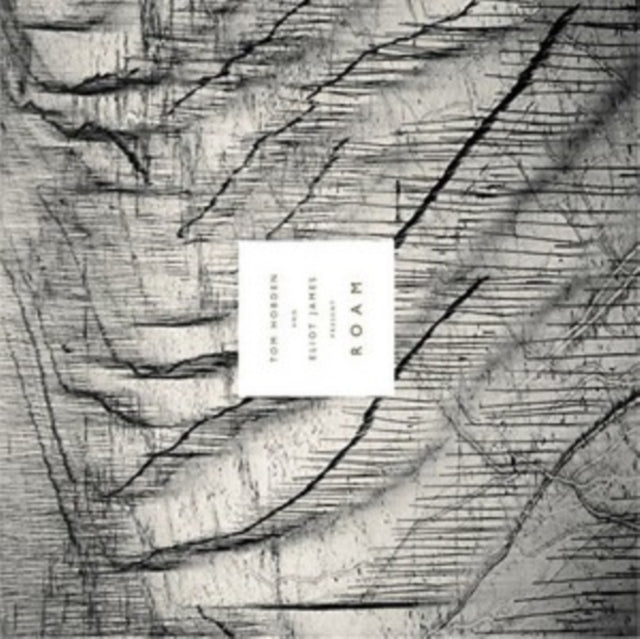 Tom Hobden & Eliot James Present: Roam