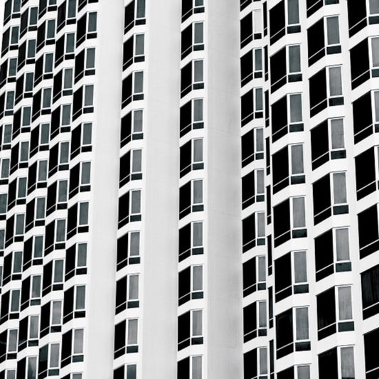 Fixation/White Walls