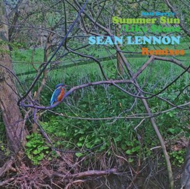 Summer Sun/Like Stone