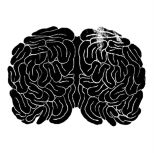 Brainmaths