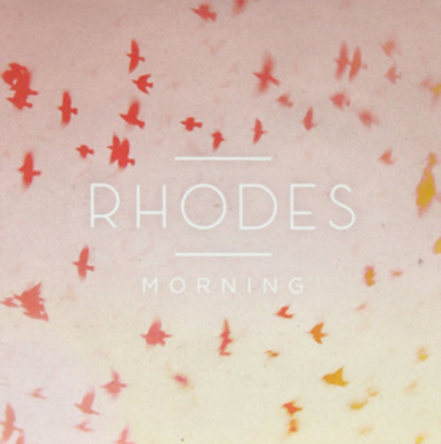 Morning