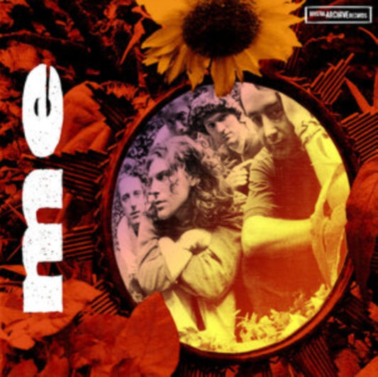 Crows Nightingales SHOCK