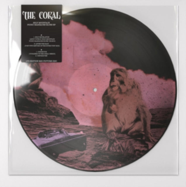 Holy Mountain Picnic Massacre Blues EP