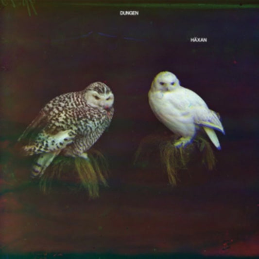 Haxan