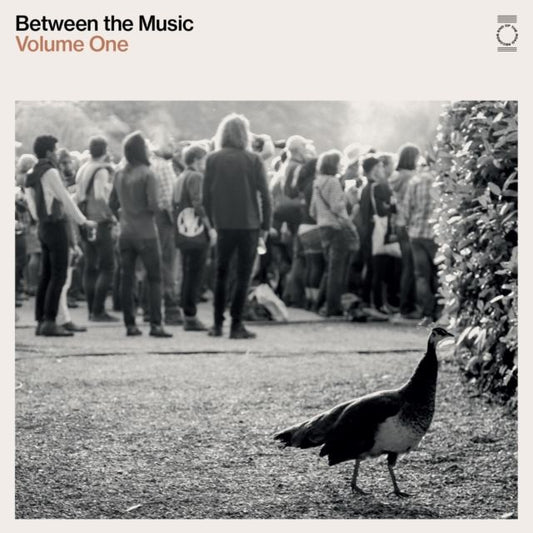 Between the Music