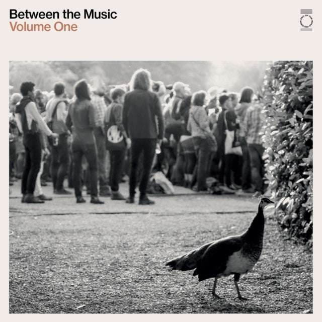 Between the Music