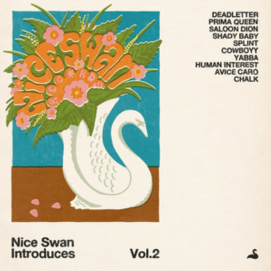 Nice Swan Introduces