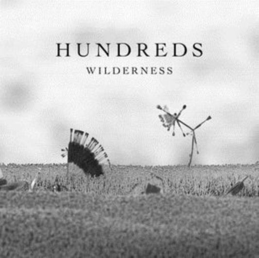 Wilderness
